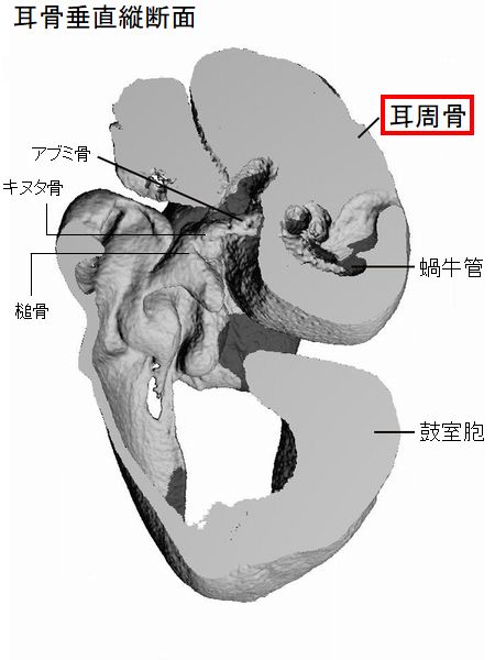 hakujirajikotu027.jpg